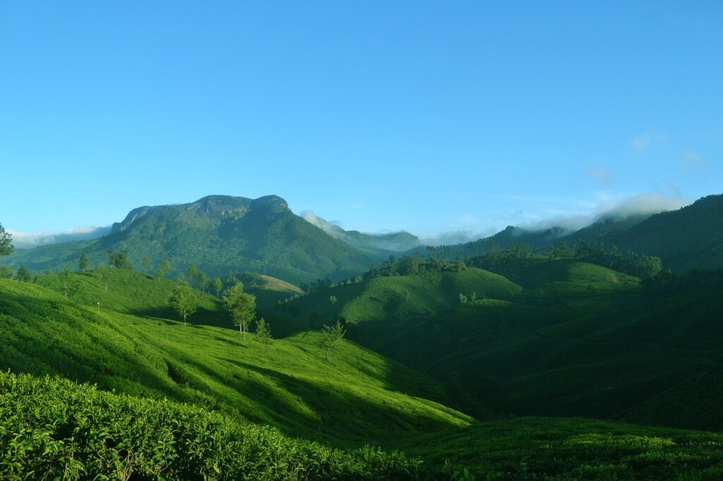 South India Travel-Munnar