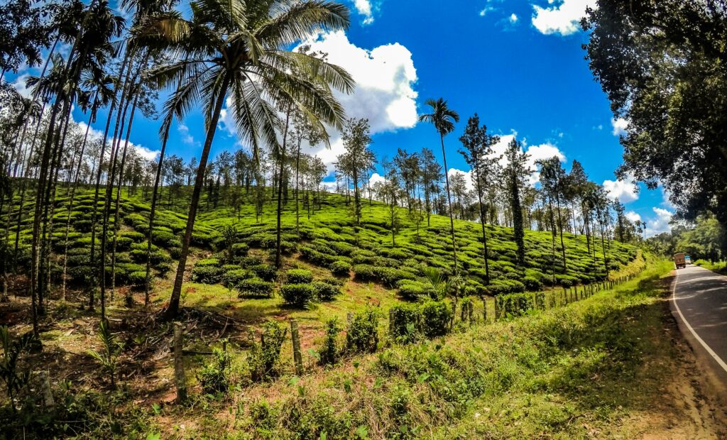 Monsoon Destination- Western Ghats