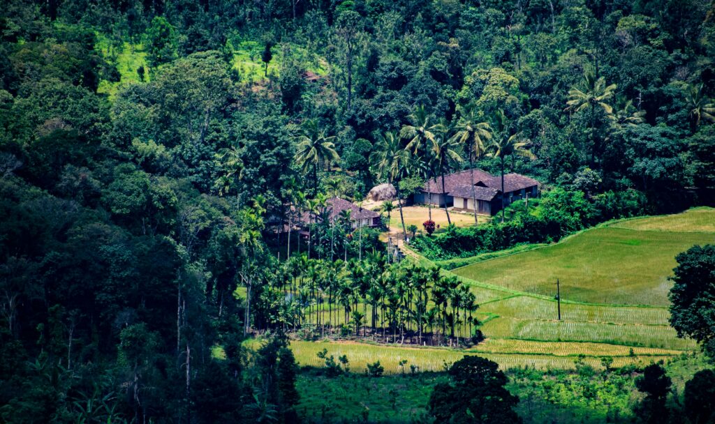 Summer Destination-Coorg