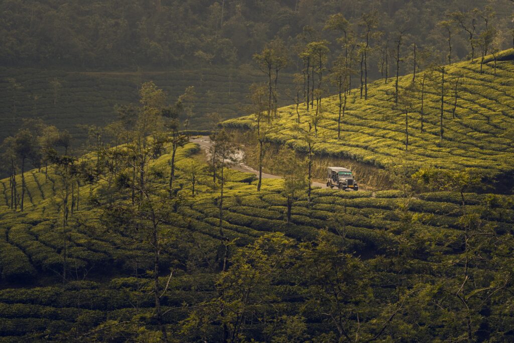 Indian Tourist Destination - Kerela